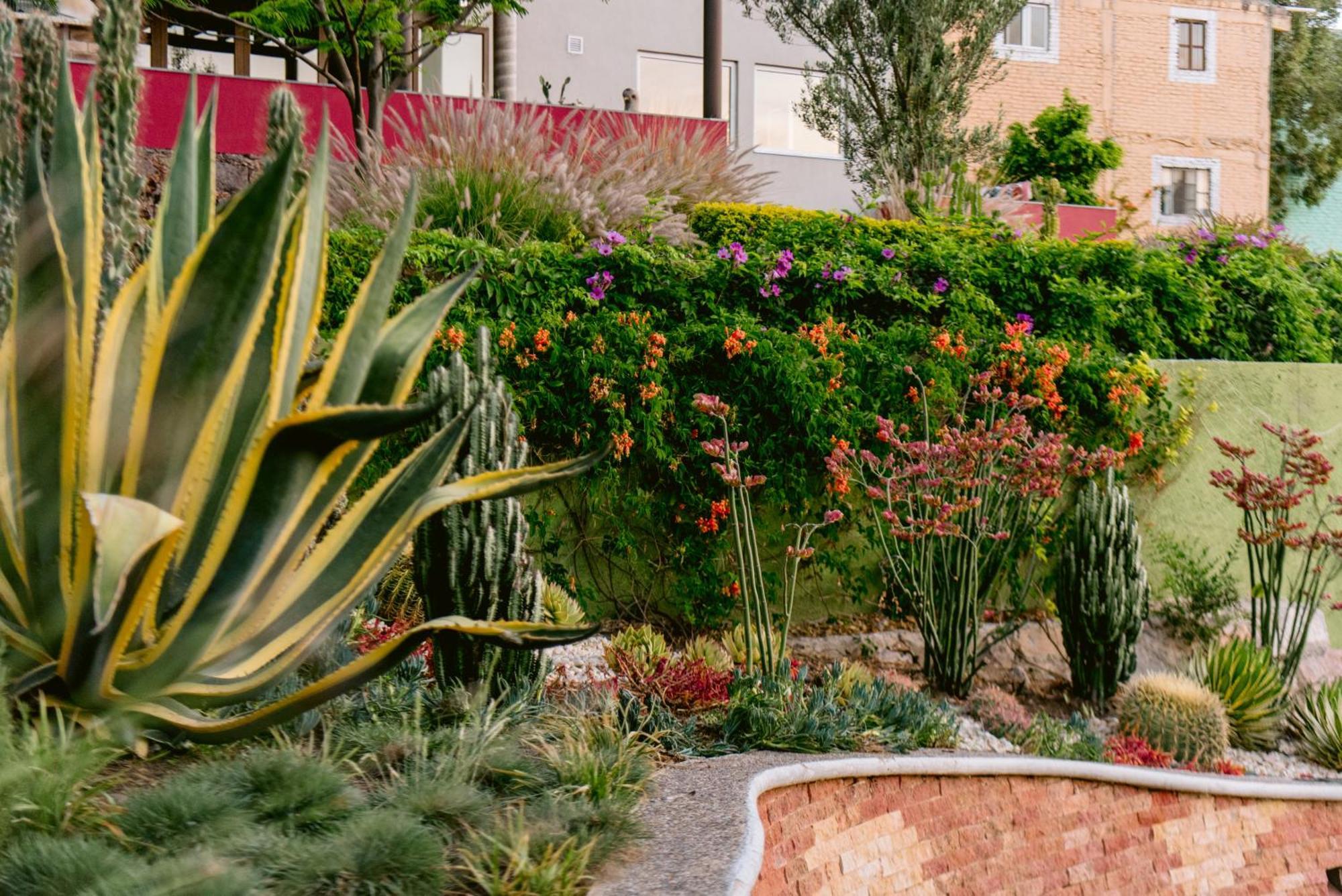 Terra Vista Aparthotel Guanajuato Exterior photo